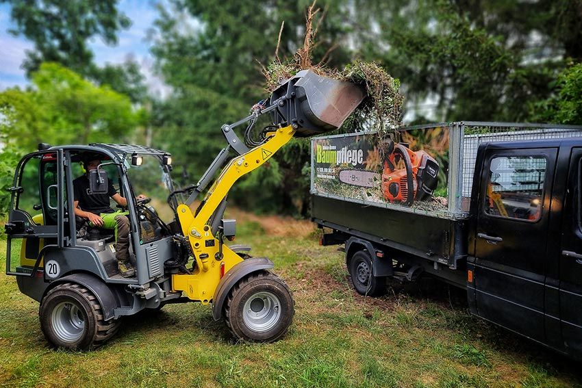 Bagger kippt Material auf LKW