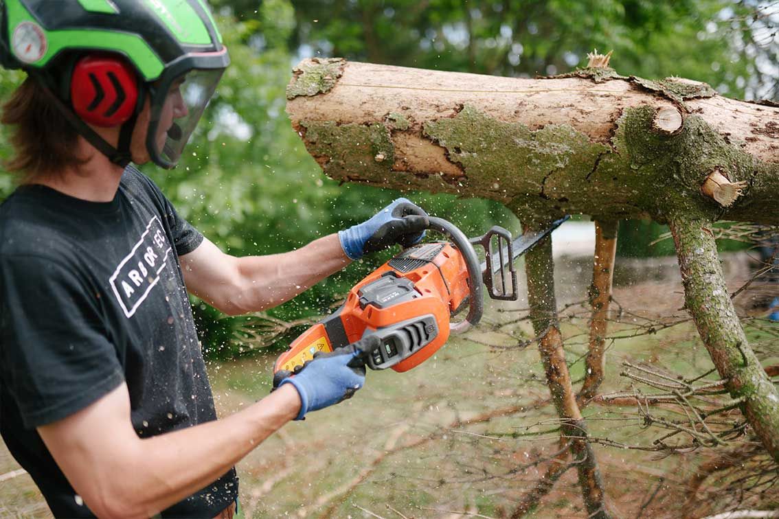 Gefälltes Baumstück wird mit Kettensäge geschnitten