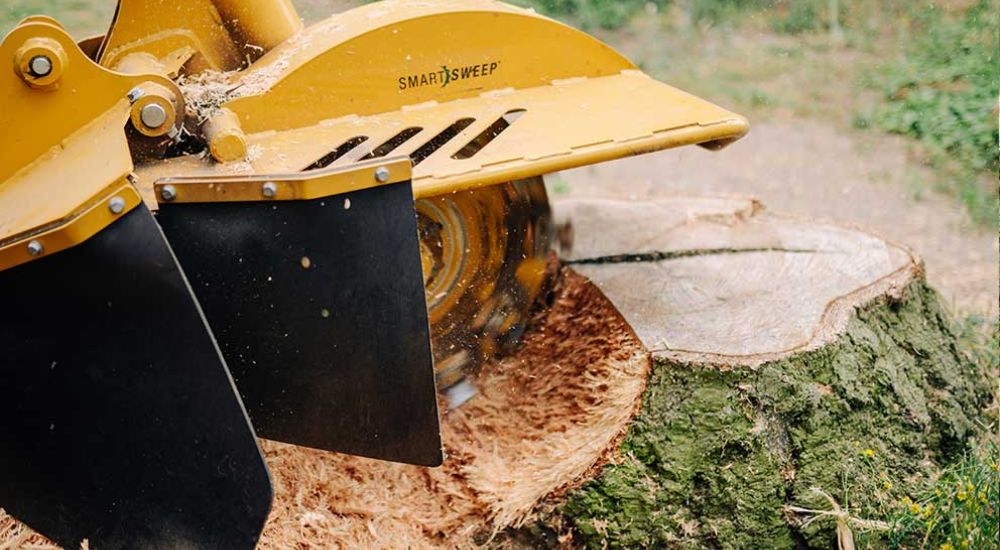 Fräskopf der Maschine fräst Wurzel im Boden